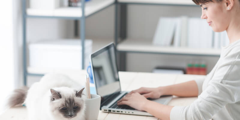 Flexible Work and Furry Friends: A Match Made in Heaven?