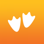 GooseChase